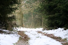 Killikus&reg; Fotographie